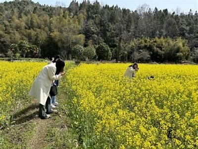 《天龙八部私服精彩帮战视频集锦，战斗技巧全解析》