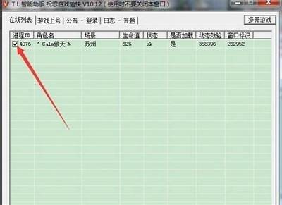 《天龙八部私服架设工具全攻略：轻松搭建自己的游戏服务器》